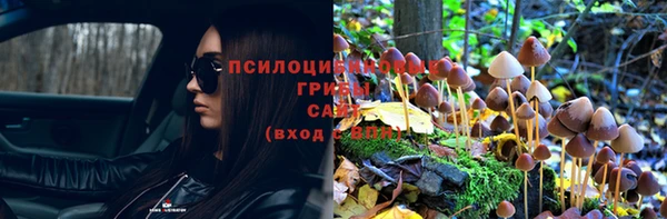 скорость Алапаевск