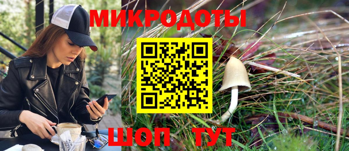 Тулун  Псилоцибиновые грибы GOLDEN TEACHER  Вход с VPN 