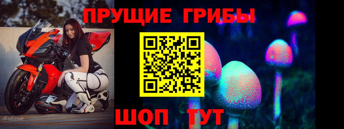 Галлюциногенные грибы MAGIC MUSHROOMS  Тулун 